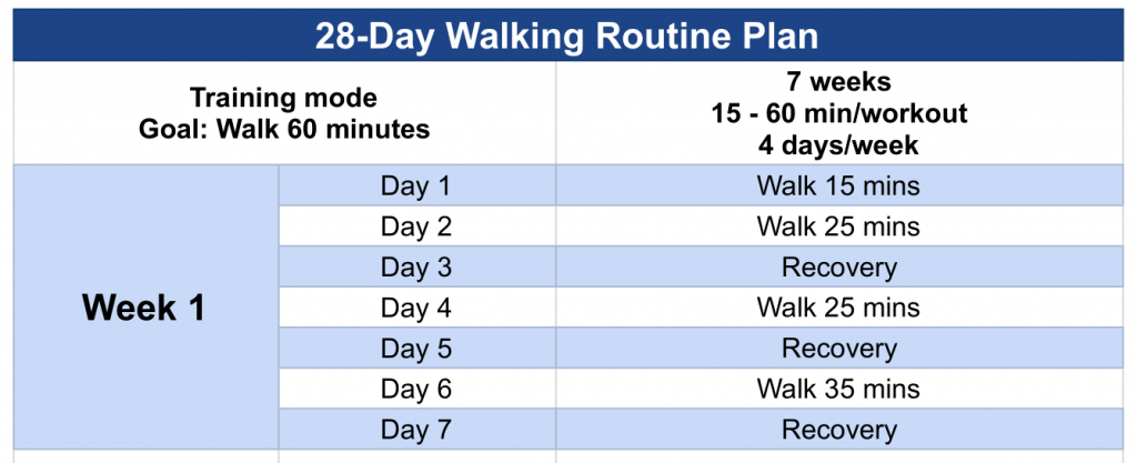 28-day WellTraining Walking Routine